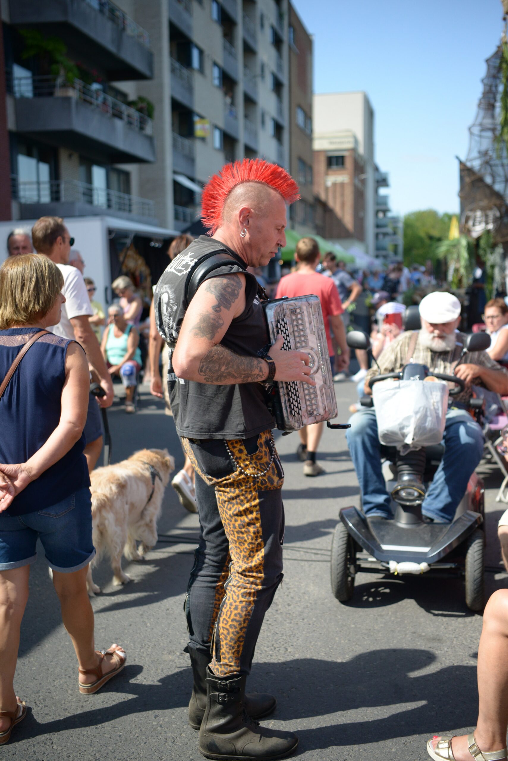 Accordeonist Marino Punk treedt live op met zijn accordeon tijdens een sfeervol evenement.