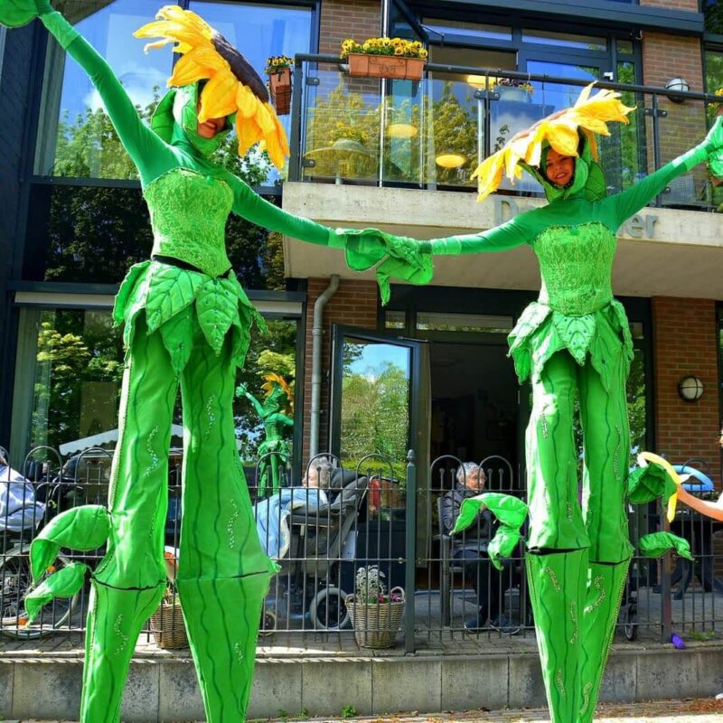 Dancing Sunflowers steltloop-act met zonnebloemen – Dream Animations