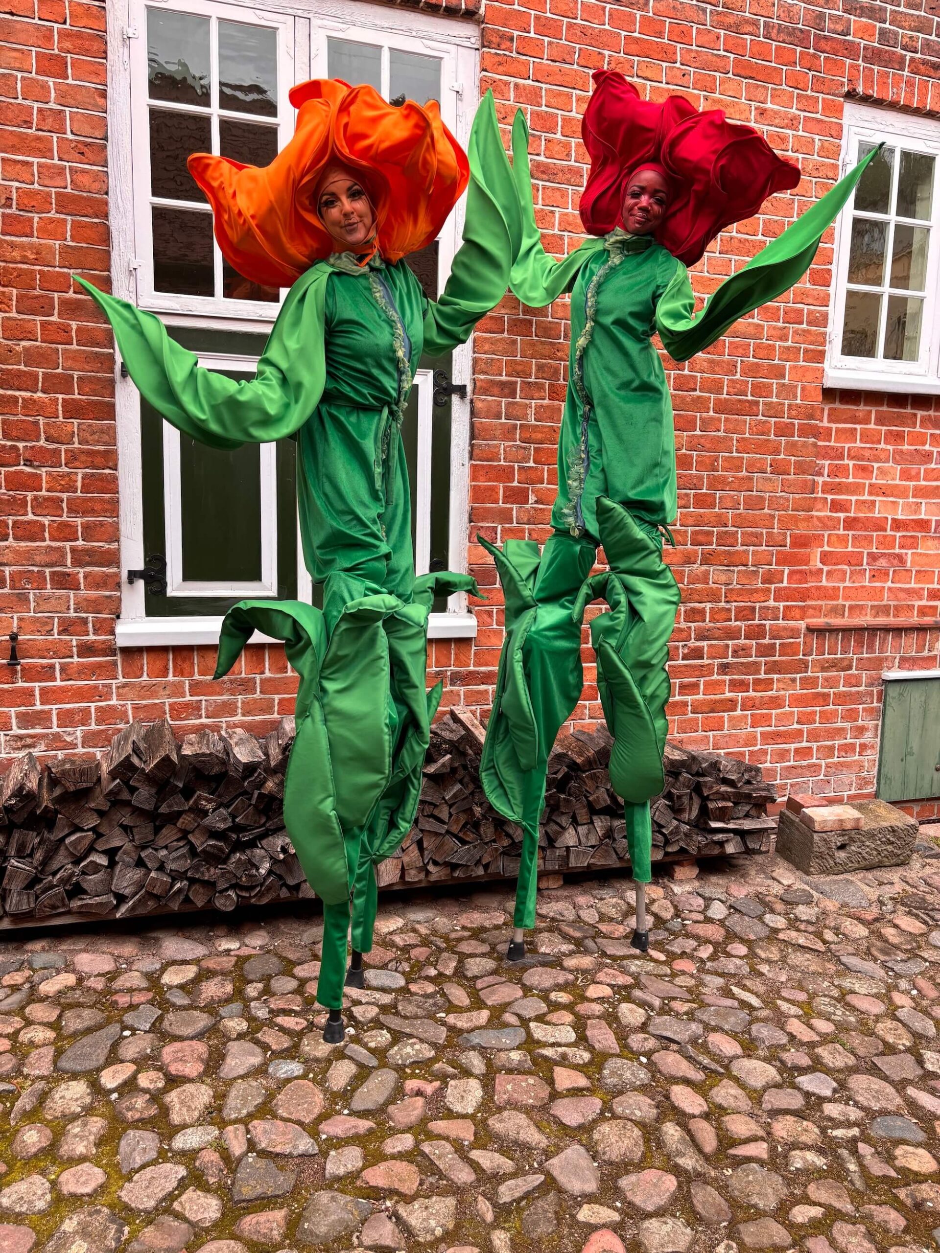 Boek de Dancing Tulips bij Dream Animations – vrolijke dansende tulpen die kleurrijke animatie brengen op festivals, winkelcentra en evenementen.
